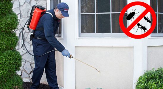 Pehlivanköy Fare İlaçlama böcek ilaçlama ve haşere kontrolü — ilaclama-tr.com